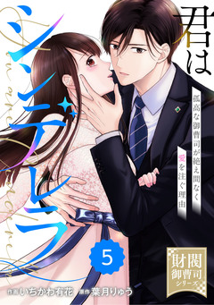comic Berry’s君はシンデレラ～孤高な御曹司が絶え間なく愛を注ぐ理由～【財閥御曹司シリーズ】 5巻