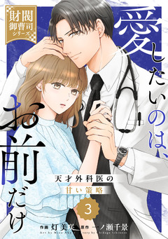 comic Berry’s愛したいのは、お前だけ～天才外科医の甘い策略～【財閥御曹司シリーズ】 3巻