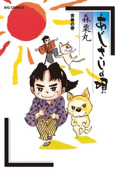 あじさいの唄 13巻