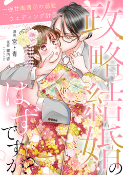 政略結婚のはずですが? ～極甘御曹司の溺愛ウエディング計画～ 13巻