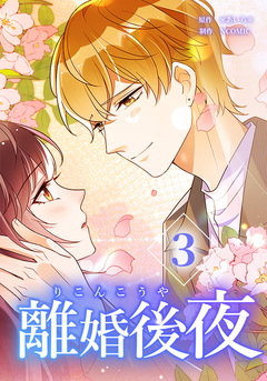 離婚後夜【単行本版】 3巻