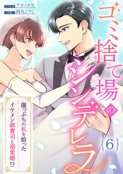 ゴミ捨て場のシンデレラ ～崖っぷちの私を拾ったイケメン御曹司と溺愛婚!?～ 6巻