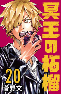 冥王の柘榴(話売り) 20巻