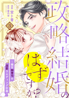 【単行本】政略結婚のはずですが? ~極甘御曹司の溺愛ウエディング計画~ 3巻