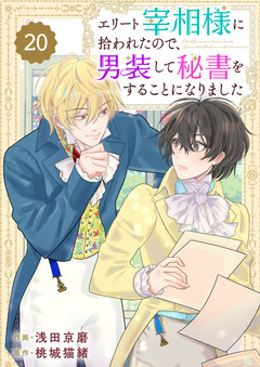 Berry’sFantasyエリート宰相様に拾われたので、男装して秘書をすることになりました 20巻