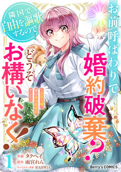お前呼ばわりで婚約破棄?隣国で自由を謳歌するのでどうぞお構いなく!～追放令嬢、実は最強精霊師でした～ 1巻
