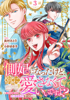 側妃になったけど、別に愛さなくていいですよ?～他力本願な妃はぐーたらライフを送りたい～(話売り) 3巻