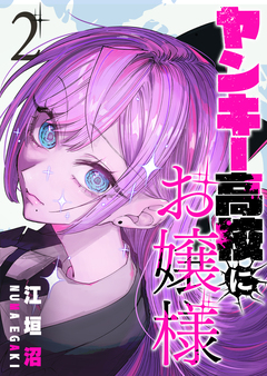 ヤンキー高校にお嬢様 2巻