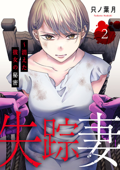 失踪妻～消えた彼女の秘密【電子単行本版】 2巻