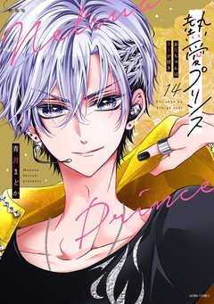 熱愛プリンス お兄ちゃんはキミが好き【コミックス版】 14巻