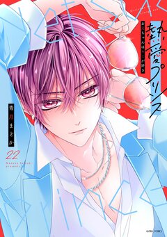 熱愛プリンス お兄ちゃんはキミが好き【コミックス版】 22巻