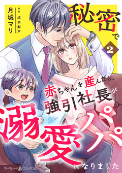 秘密で赤ちゃんを産んだら、強引社長が溺愛パパになりました【分冊版】 2巻