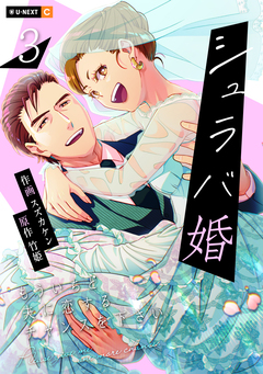 シュラバ婚～もういちど夫に恋するチャンスを下さい～ 3巻