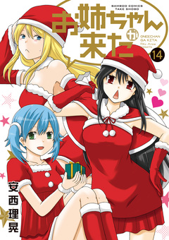 お姉ちゃんが来た 14巻