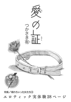 壊れちゃった女たち~愛の証~ 1巻