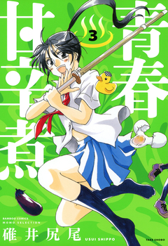 青春甘辛煮 3巻
