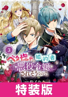 ベタ惚れの婚約者が悪役令嬢にされそうなので。 特装版 2巻