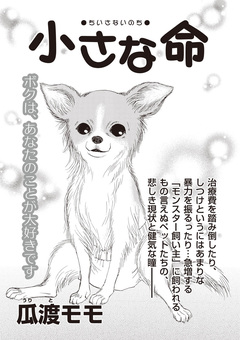 あなたの隣のモンスター主婦SP～小さな命～ 1巻