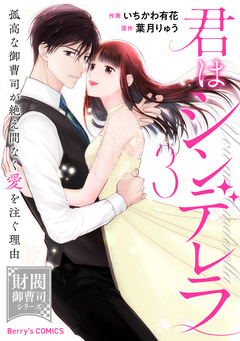 君はシンデレラ～孤高な御曹司が絶え間なく愛を注ぐ理由～ 3巻