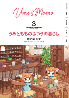 うめともものふつうの暮らし 3巻