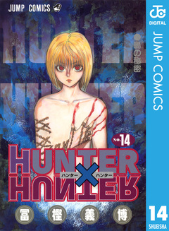 HUNTER×HUNTER モノクロ版 14巻