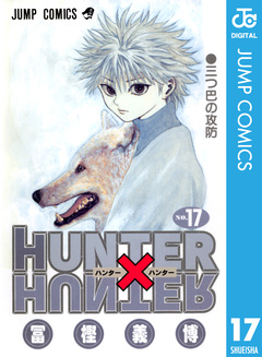 HUNTER×HUNTER モノクロ版 17巻