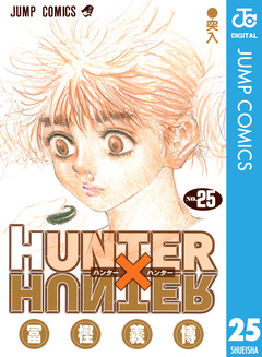 HUNTER×HUNTER モノクロ版 25巻