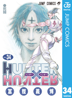 HUNTER×HUNTER モノクロ版 34巻