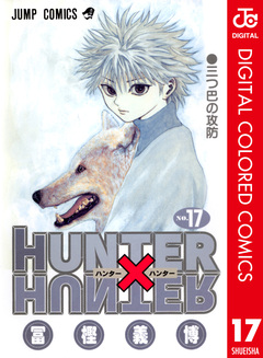 HUNTER×HUNTER カラー版 17巻