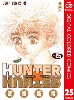 HUNTER×HUNTER カラー版 25巻