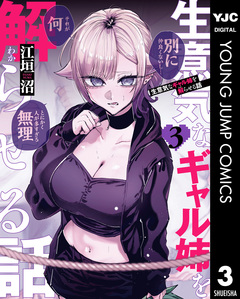 生意気なギャル姉を解らせる話 3巻