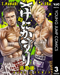 げにかすり 3巻