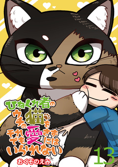 ひねくれ者のウチの猫をそれでも愛さずにはいられない 【せらびぃ連載版】 13巻