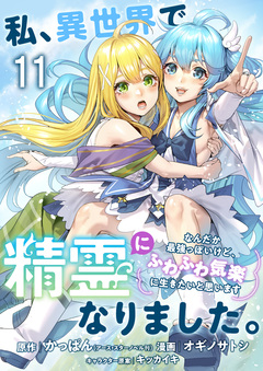 私、異世界で精霊になりました。なんだか最強っぽいけど、ふわふわ気楽に生きたいと思います ストーリアダッシュ連載版 12巻