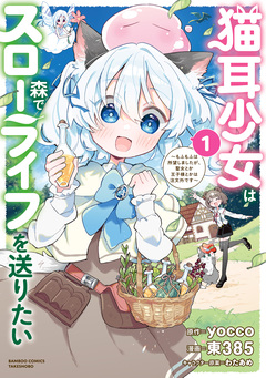 猫耳少女は森でスローライフを送りたい ~もふもふは所望しましたが、聖女とか王子様とかは注文外です~ 1巻