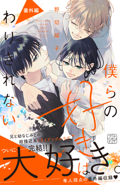 僕らの好きはわりきれない プチデザ 27巻