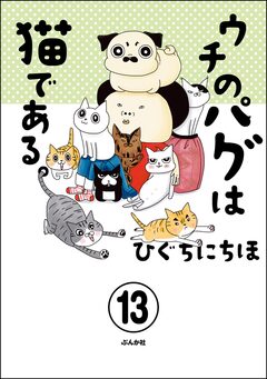 ウチのパグは猫である。(分冊版) 13巻