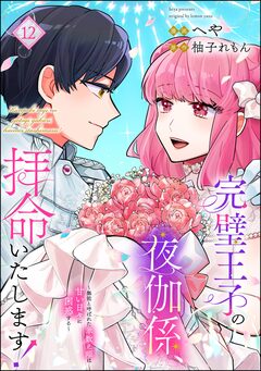 完璧王子の夜伽係、拝命いたします! ～無能と呼ばれた羊数え姫は甘い日々に困惑する～(分冊版) 12巻