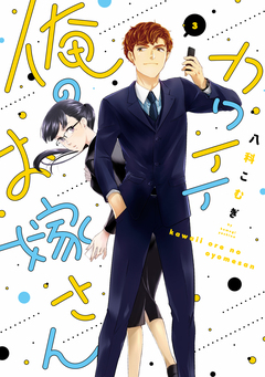 カワイイ俺のお嫁さん【単行本版】 3巻