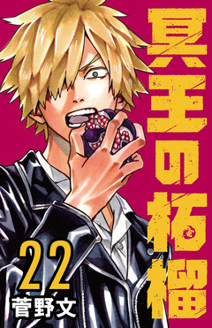 冥王の柘榴(話売り) 22巻