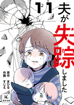 夫が失踪しました 11巻