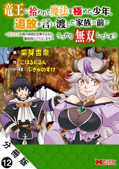 竜王に拾われて魔法を極めた少年、追放を言い渡した家族の前でうっかり無双してしまう～兄上たちが僕の仲間を攻撃するなら、徹底的にやり返します～(コミック) 分冊版 12巻