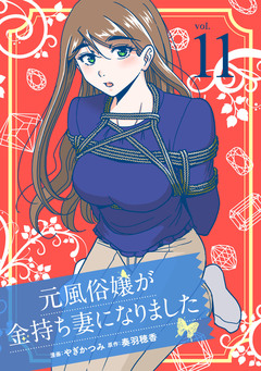 元風俗嬢が金持ち妻になりました 11巻