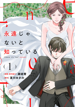 永遠じゃないと知っている 1巻