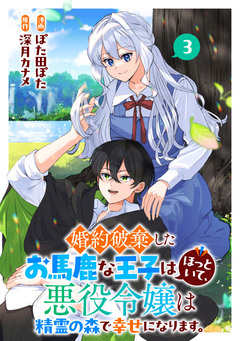 婚約破棄したお馬鹿な王子はほっといて、悪役令嬢は精霊の森で幸せになります。 3巻
