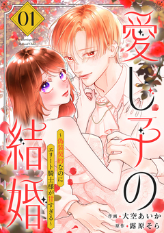 愛し子の結婚～偽装契約なのにエリート騎士様が甘すぎる～【電子単行本版/特典おまけ付き】 1巻