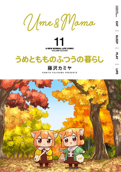 うめともものふつうの暮らし 11巻