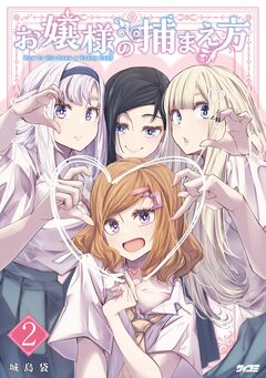 お嬢様の捕まえ方 2巻