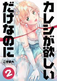 カレシが欲しいだけなのに 2巻