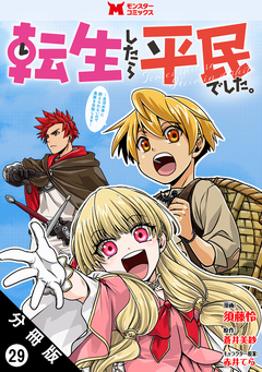 転生したら平民でした。～生活水準に耐えられないので貴族を目指します～(コミック) 分冊版 29巻